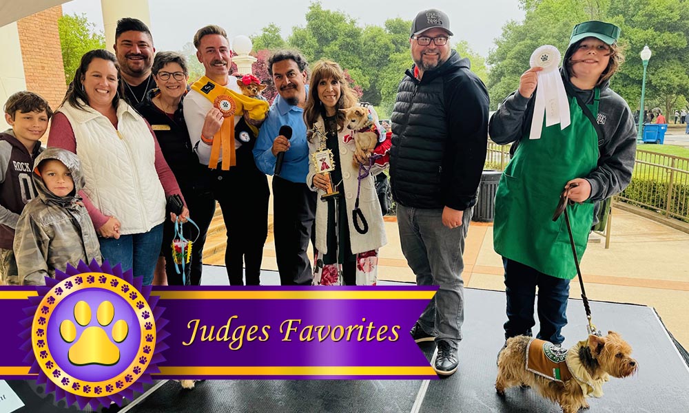 Image of 2024 Pet Costume Contest winners